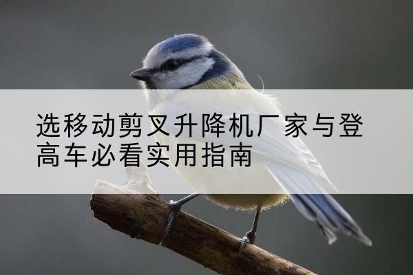 普陀电动升降机厂家-选移动剪叉升降机厂家与登高车必看实用指南