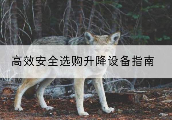 普陀升降货梯厂家推荐-*安全选购升降设备指南
